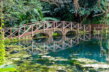 Fototapeta na wymiar Arched bridge on a lake with reflection, Tanzania, Africa. Footbridge over a pond