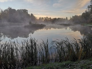 Fototapeta premium morning on the lake