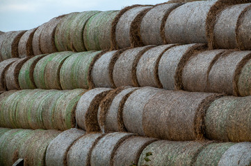 Closeup of straw rolls on a cloudy autumn day
