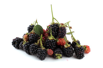 Blackberries