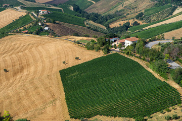 Rural landscape from Ripatransone, Marches, Italy