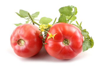 Red tomatoes, leaves and flowers