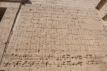 Hieroglyphic carvings on an ancient egyptian temple wall