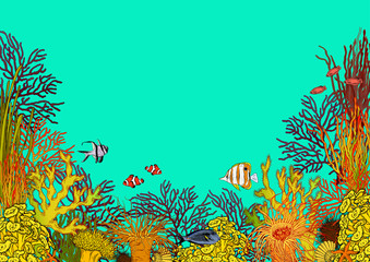 Fototapeta na wymiar Colorful underwater scenery with corals, sea anemones and beautiful tropical fishes.