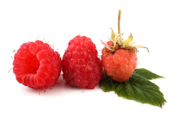 Raspberries