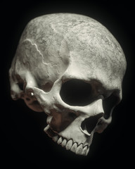 Obraz premium Human Skull On Black Background