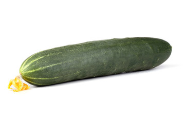 Cucumber