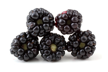 Blackberries
