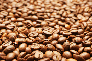 Many coffee beans as background