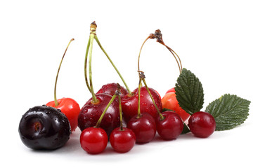 Different color cherries