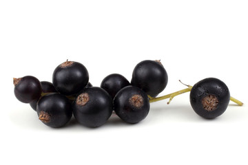 Cluster of black currant
