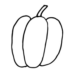 paprika vector icon in cartoon style isolated object vegetable organic