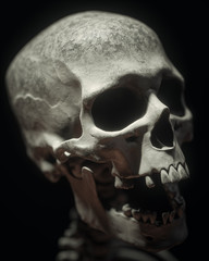 White Full Human Skull On Black Background