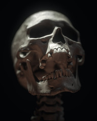 White Full Human Skull On Black Background