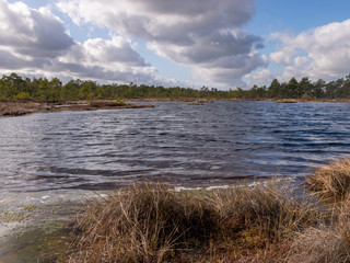 View of the peat bog lake on a sunny day,
