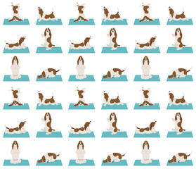 Yoga dogs poses and exercises. Basset hound seamless pattern