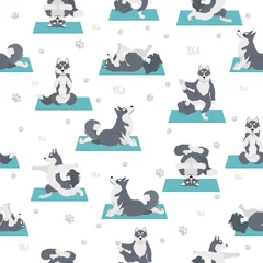 Blackout roller blinds Dogs Yoga dogs poses and exercises. Siberian husky and Alaskan husky seamless pattern