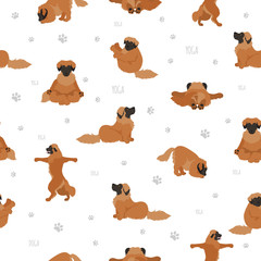 Yoga dogs poses and exercises poster design. Leonberger seamless pattern