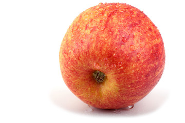 Gala apple