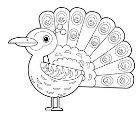 Cartoon sketchbook asian animal bird peacock on white background illustration