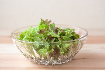 サラダボウルに入ったレタス