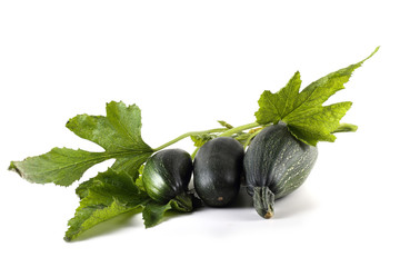 Green squashes and leaves