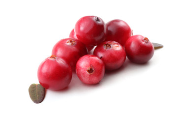 Cranberries and leaves