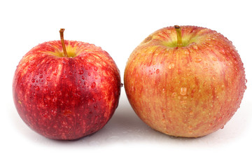 Different apples