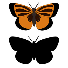 isolated, brown butterfly, with a black silhouette