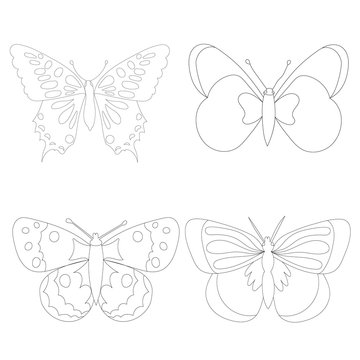 vector, isolated, butterfly minimal sketch, outline, set