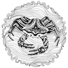 Antistress coloring page for adults with sea crab. Black white hand drawn vector doodle of oceanic animal for coloring.