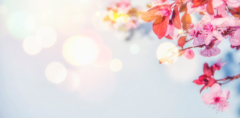 Spring blossom background.