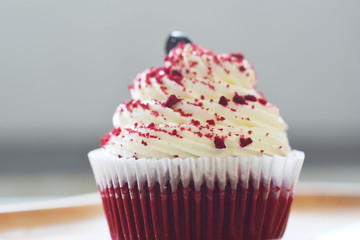 cupcake with pink icing and sprinkles