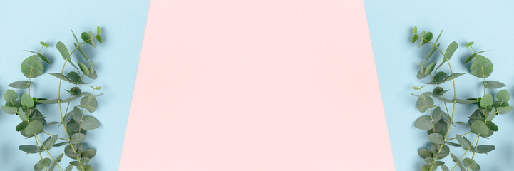 Frame made of eucalyptus branches on a pink and blue pastel background. Banner template with place for text.