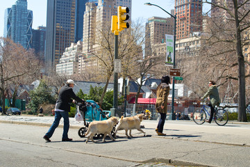 Sunny spring day in Central Park, Manhattan, New York City, USA.