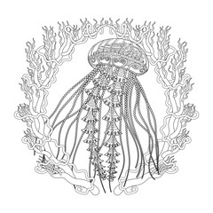 High detailed jellyfish for adult antistress coloring page. Black white hand drawn vector doodle of an oceanic animal for coloring book. - 328073192