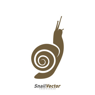 Snail logo design vector template. Silhouette of Snail design illustration