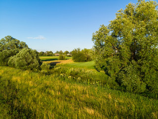 Naklejka premium Country rural landscape with trees in Russia