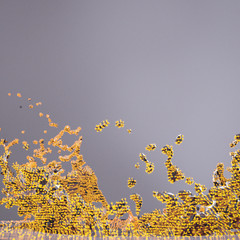 Abstract orange particle splash - 3D rendering