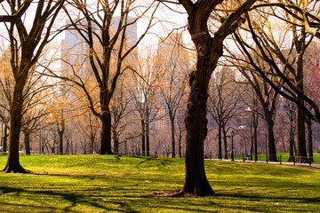 The Central Park of New York City.	