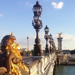 Fototapeta premium Bridge alexandre 3 in Paris