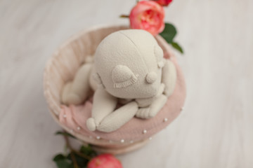 first photo shoot. doll mannequin newborn baby. doll in a bucket of flowers