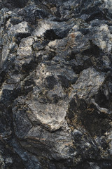 The relief texture of a large dark stone