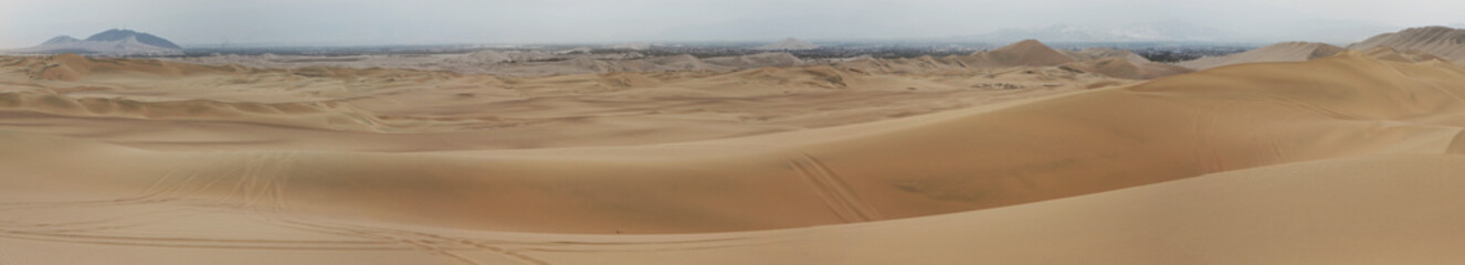 Fototapeta na wymiar Paracas national park. Peru. Desert. Sandunes Panorama