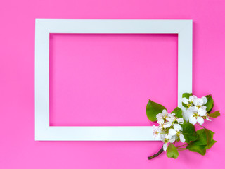 Blossoming apple tree branch next to a white frame on a pink background. Spring mood. Flat lay, layout. Easter card or frame.