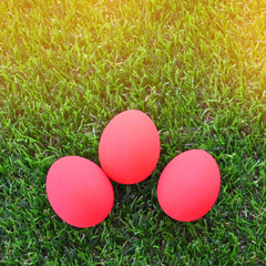 red easter egg on lawn green grass artificial, image background of morning springtime concept