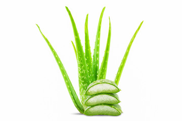 Fresh aloe vera sliced and plant isolated on white background