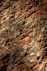 brown rock surface in the nature