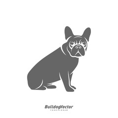 Naklejka premium Bulldog logo design vector template. Silhouette of Bulldog design illustration