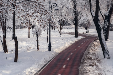 Winter park walkway after snowfall. Snow blizzard snowstorm background. Park, outdoor. Winter snowstorm. Urban landscape.